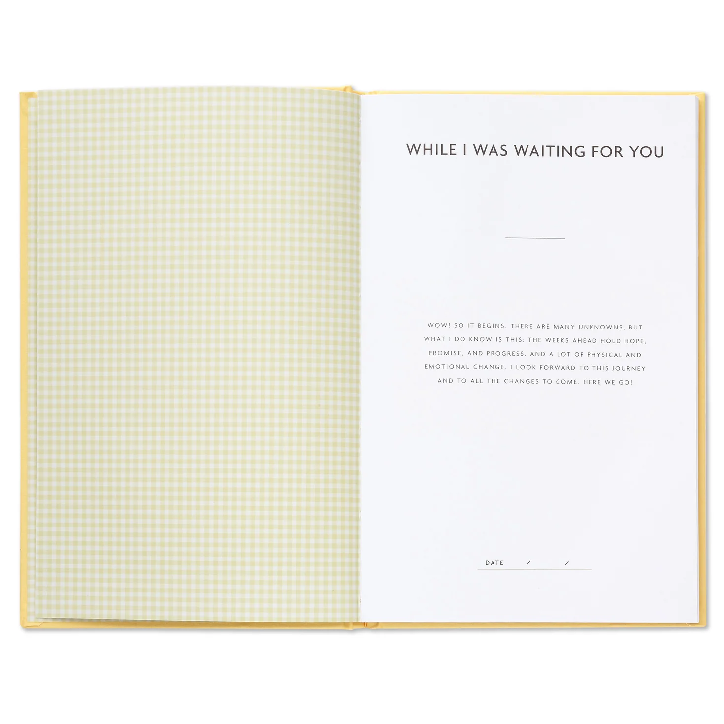 While I Was Waiting Pregnancy Journal - Image 5