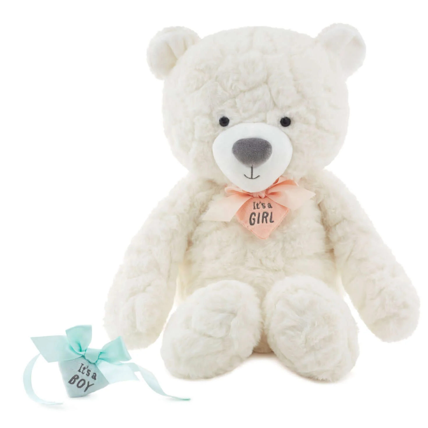 Gender Reveal Teddy Bear Plush With Ribbons - Image 3