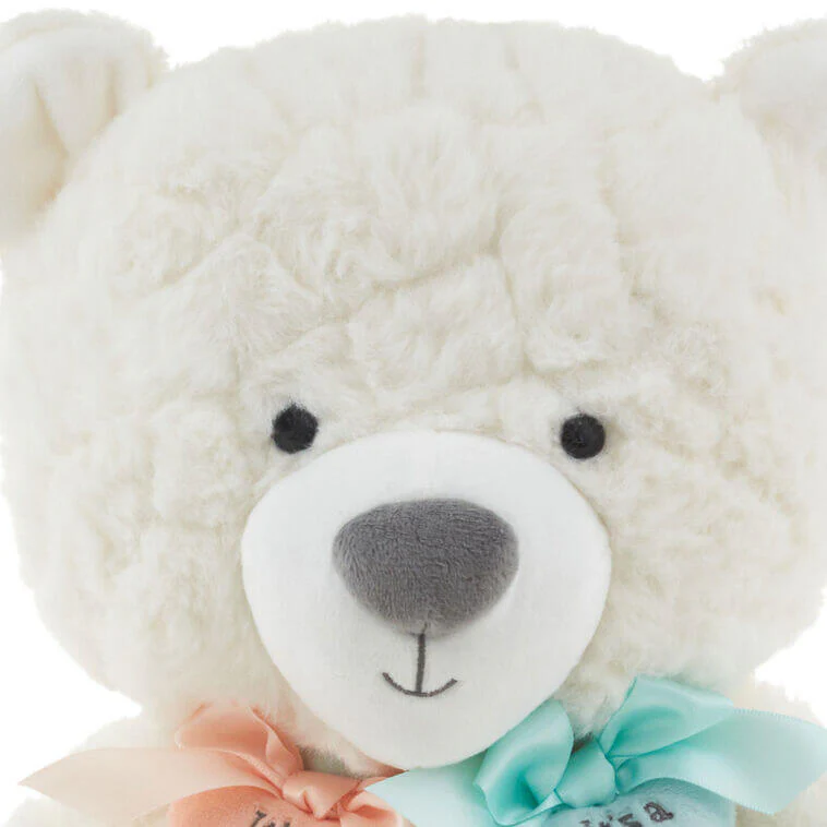 Gender Reveal Teddy Bear Plush With Ribbons - Image 5