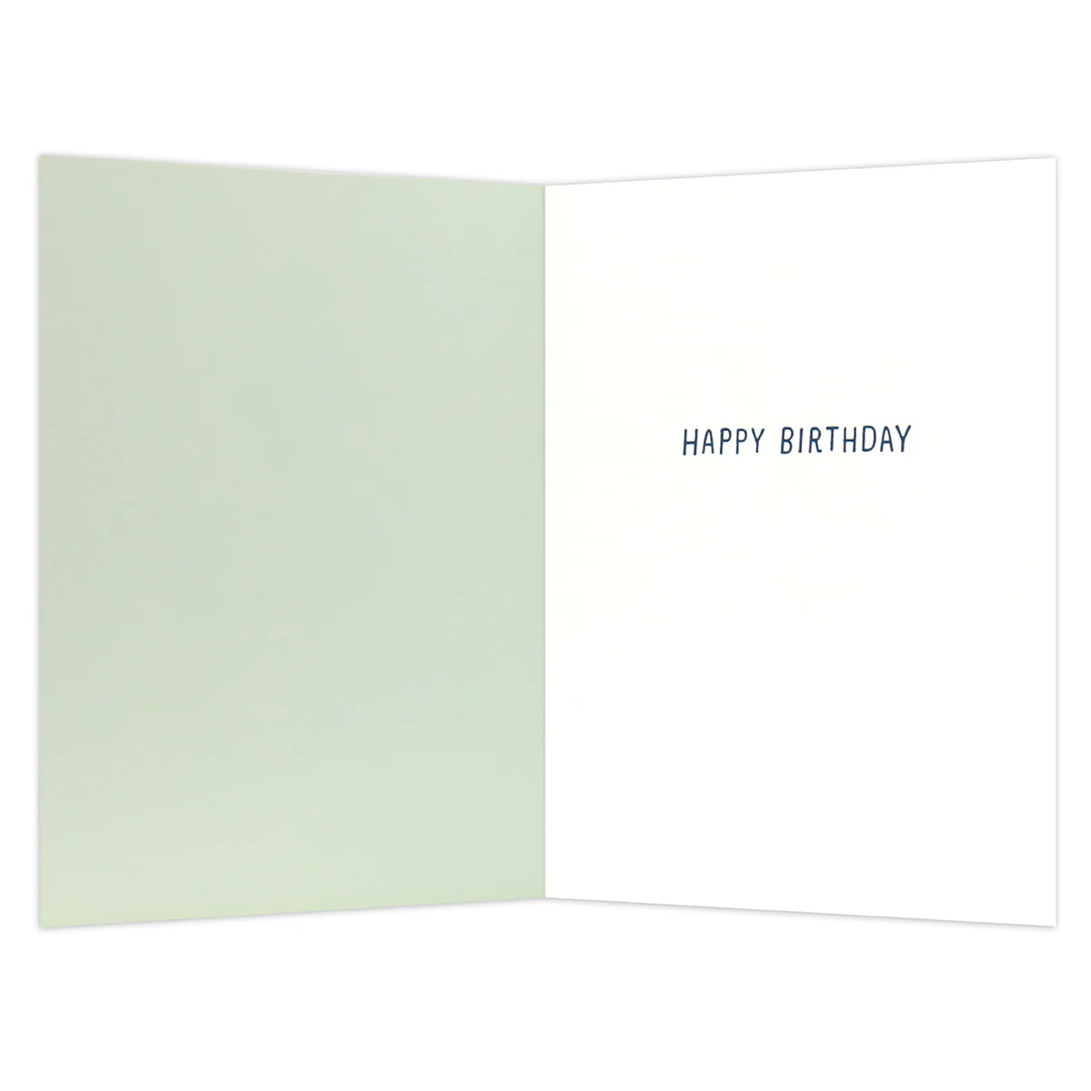 Hallmark Shoebox Birthday Card - Looking Sharp - Image 2