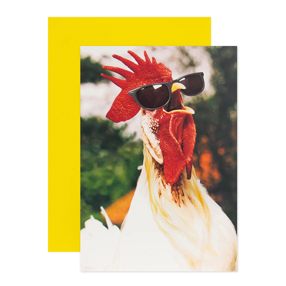 Hallmark Shoebox Birthday Card - Cluckin' Awesome - Image 3