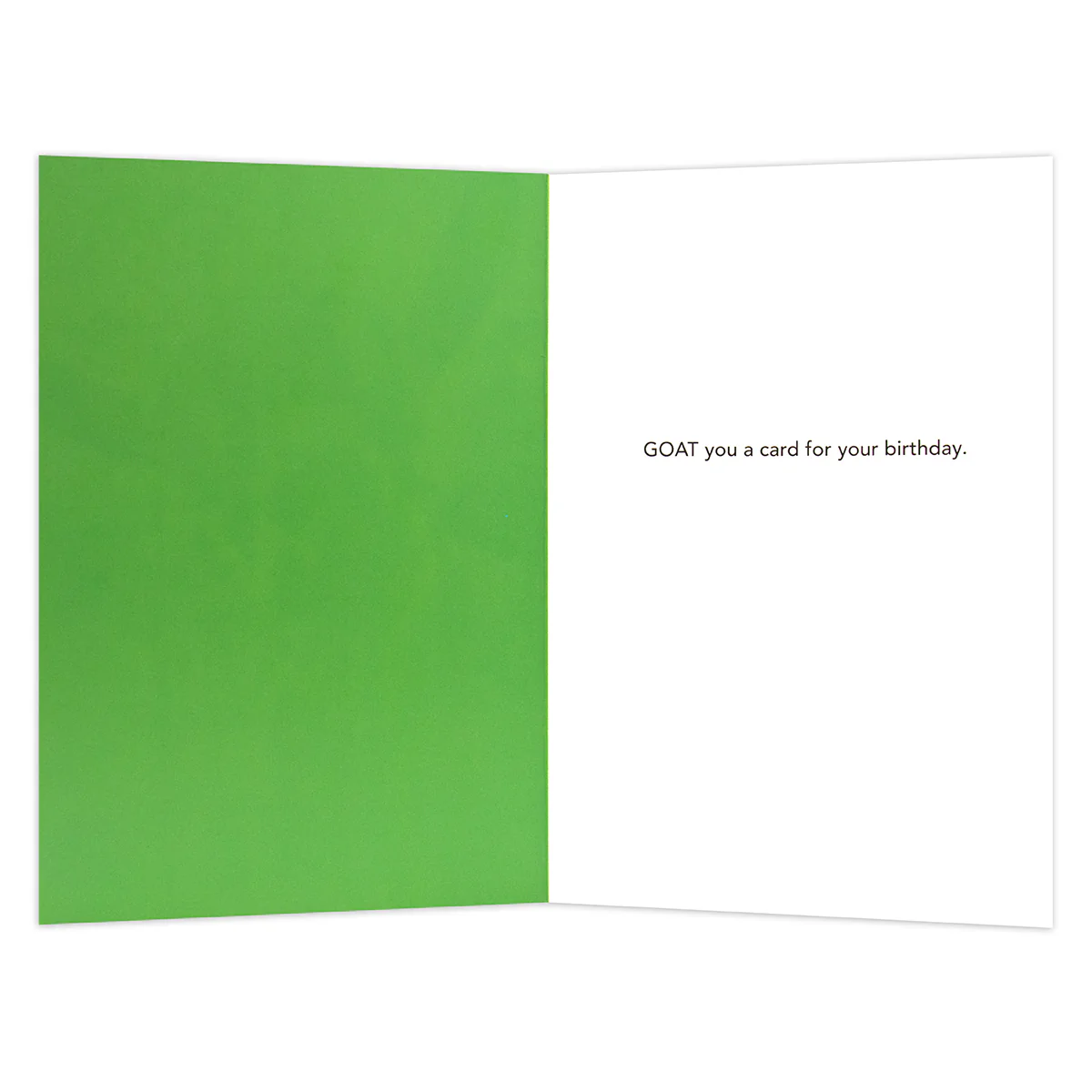 Hallmark Shoebox Birthday Card - Goat You - Image 2