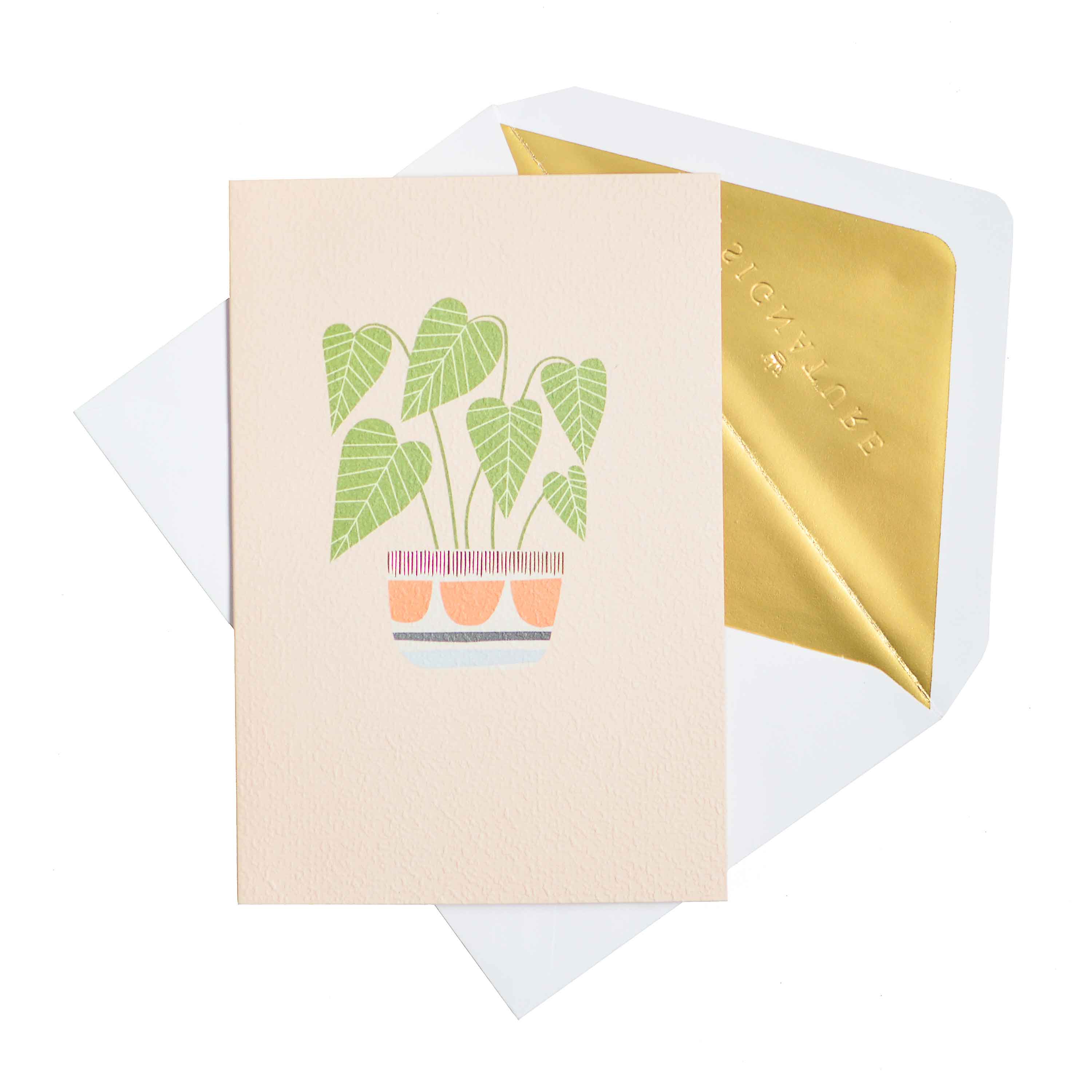 Signature Studio All Occasions Card - Pretty Potted Plant - Image 3