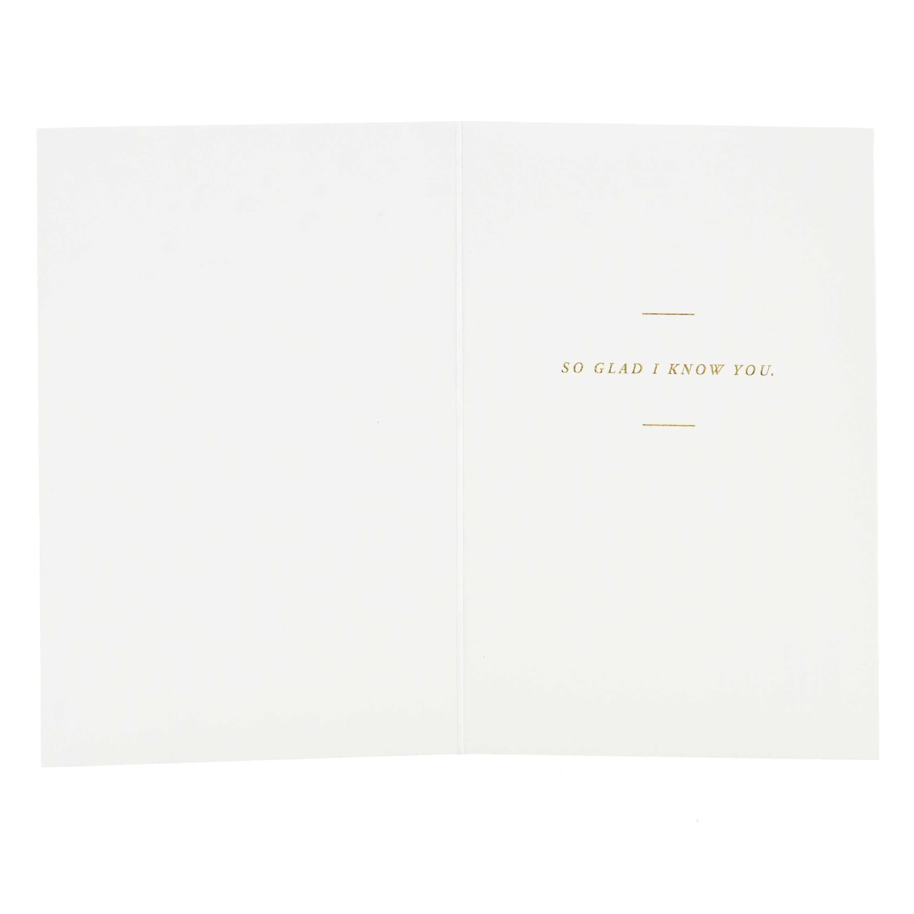 Signature Studio Greeting Card - Hello Friend - Image 2