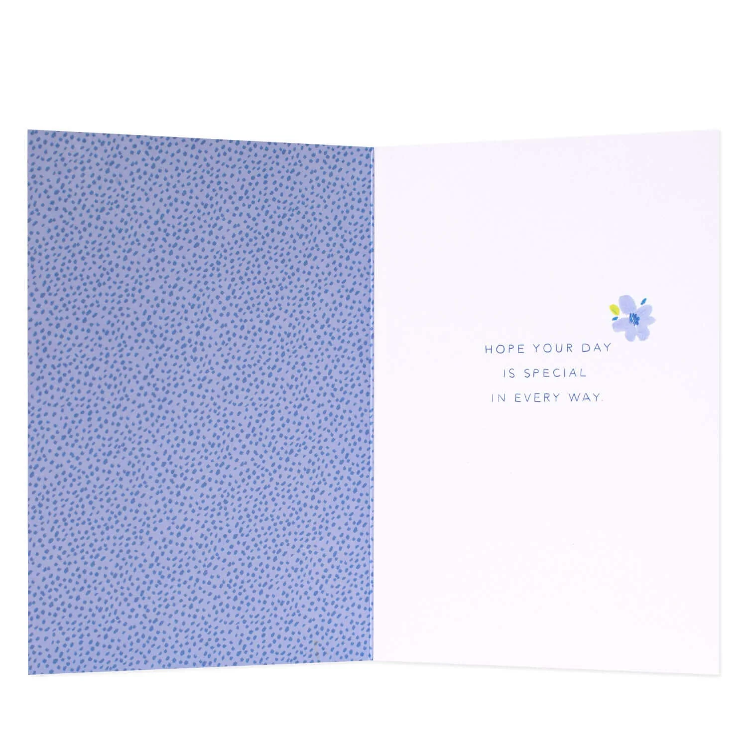 Connections from Hallmark Sister Birthday Card - Illustrative Flowers - Image 2