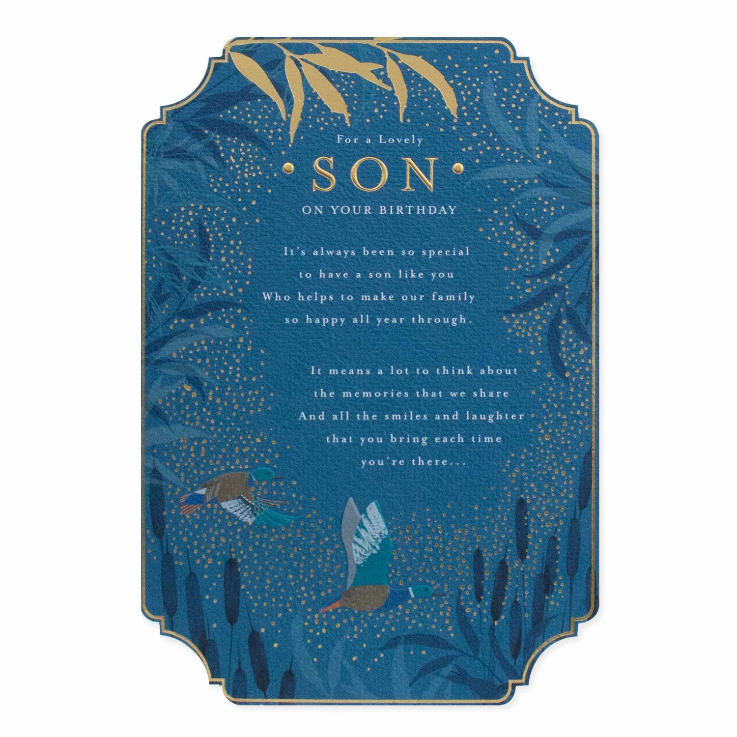 Hallmark Son Birthday Card - For a lovely Son