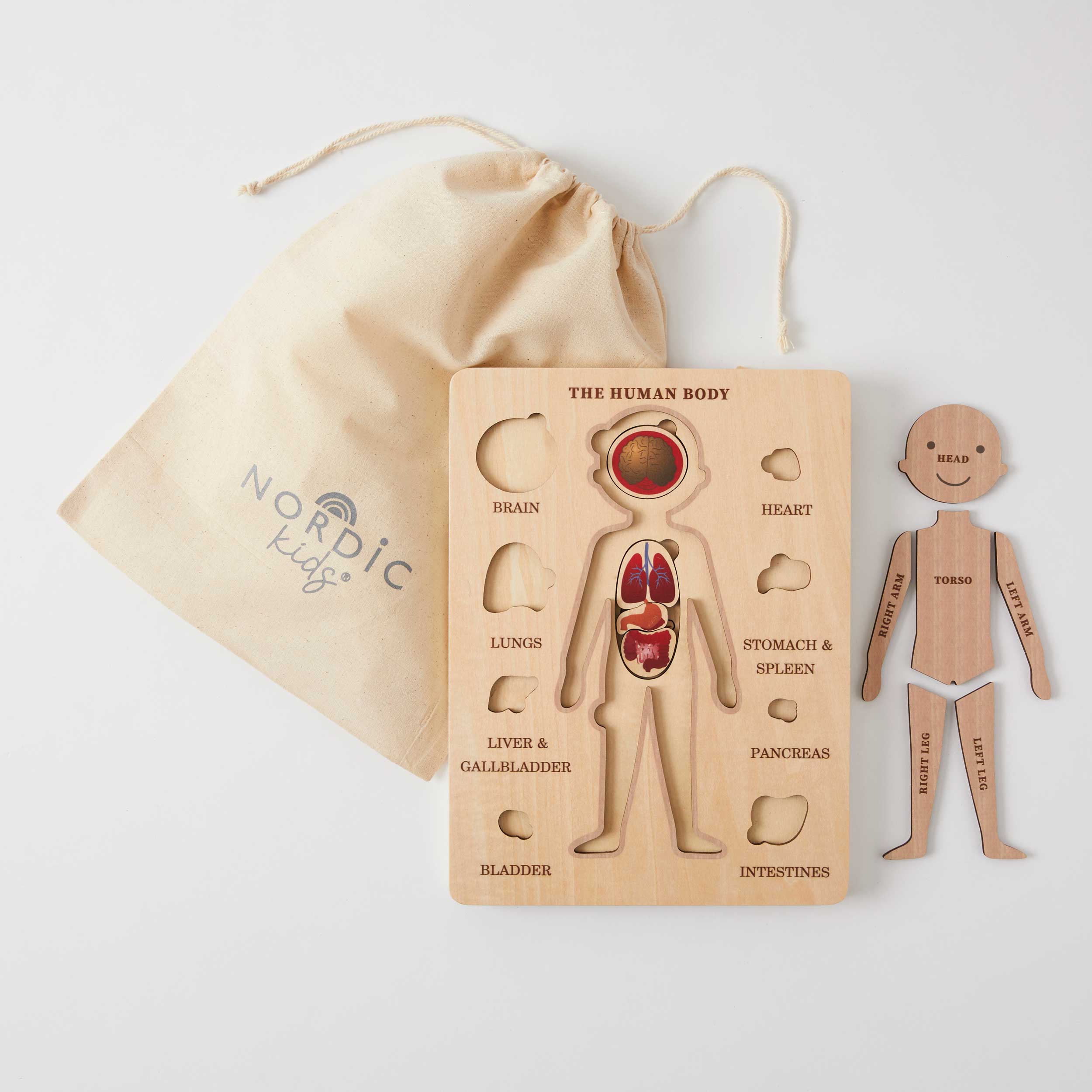 The Human Body Puzzle - Image 3
