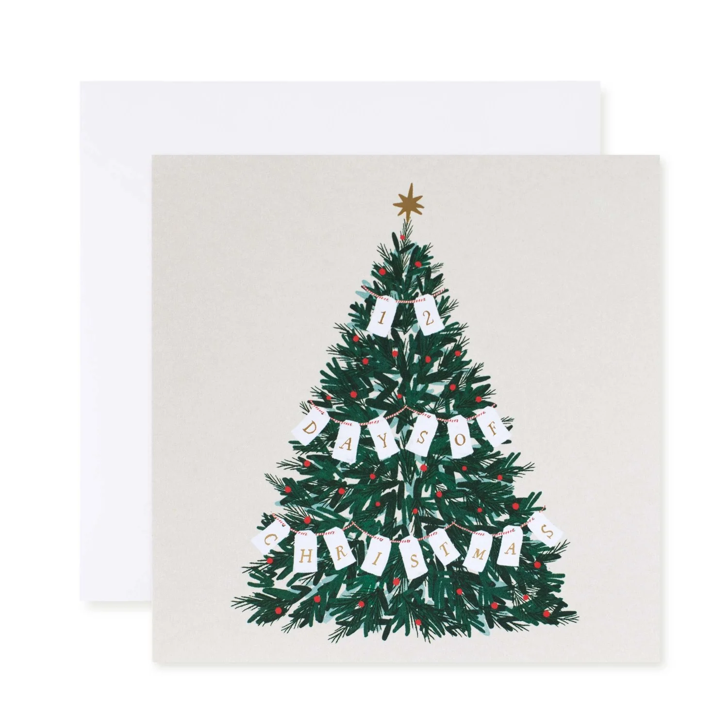 Hallmark 10 Pack Boxed Charity Christmas Cards - 12 Days Of Christmas - Image 3