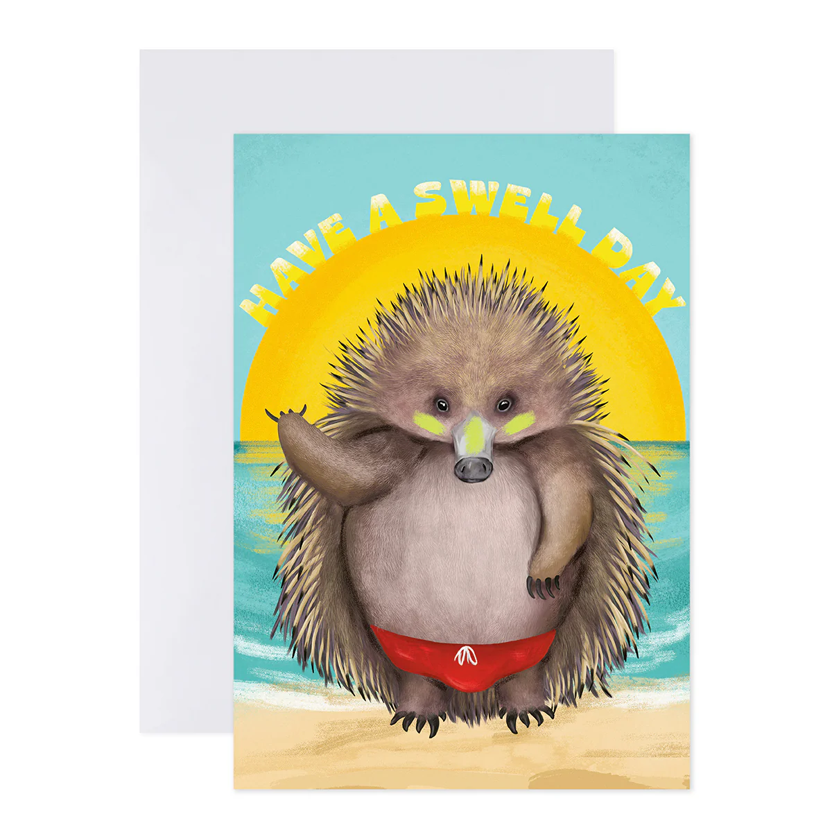 Connections from Hallmark All Occasions Card - Echidna Have A Swell Day - Image 2