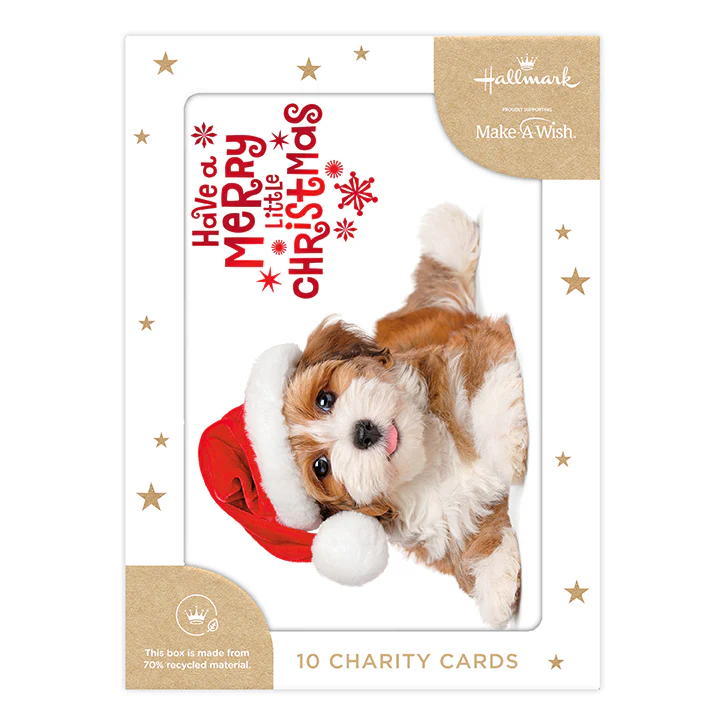 Hallmark Boxed Christmas Cards 10 Pack - Festive Puppy