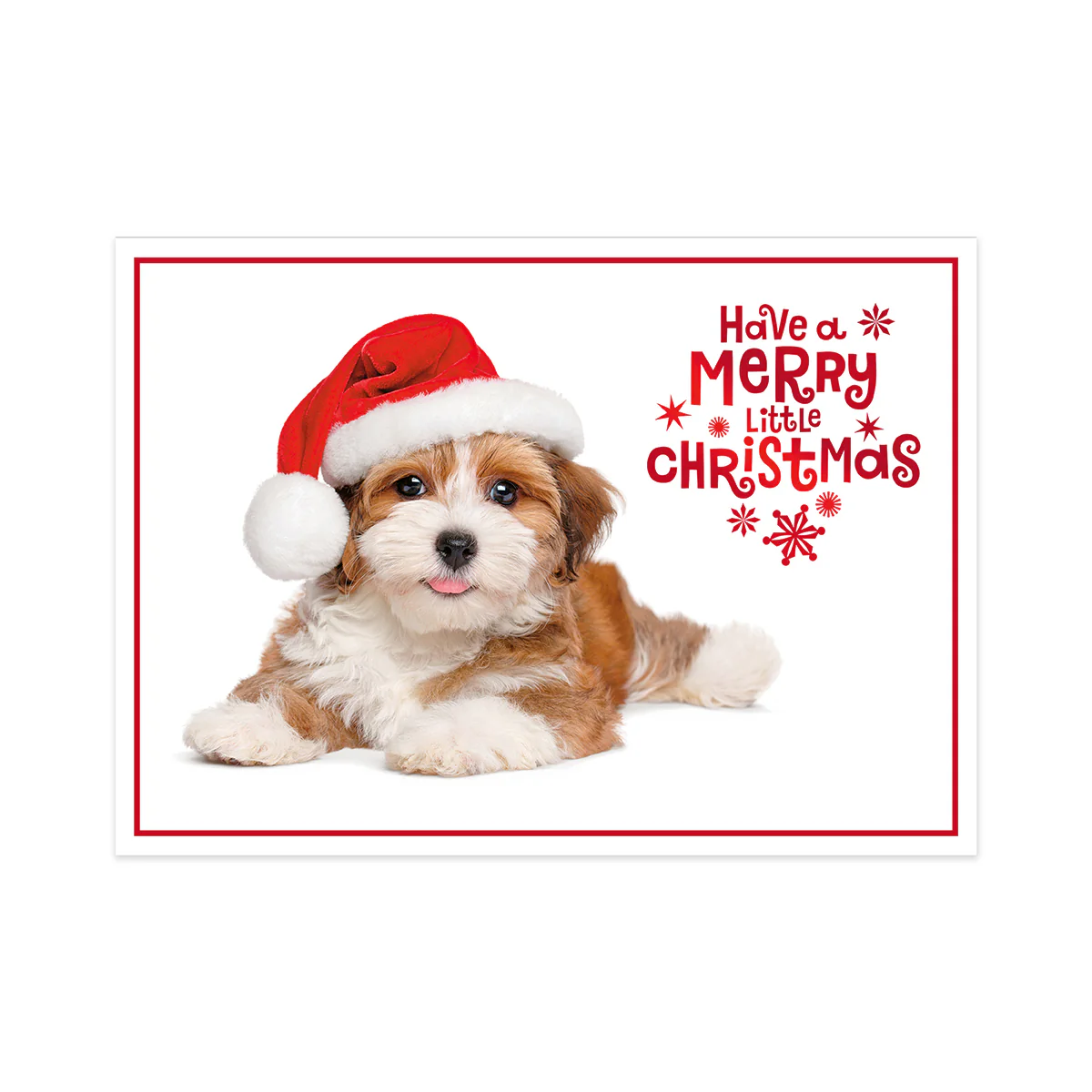 Hallmark Boxed Christmas Cards 10 Pack - Festive Puppy - Image 2