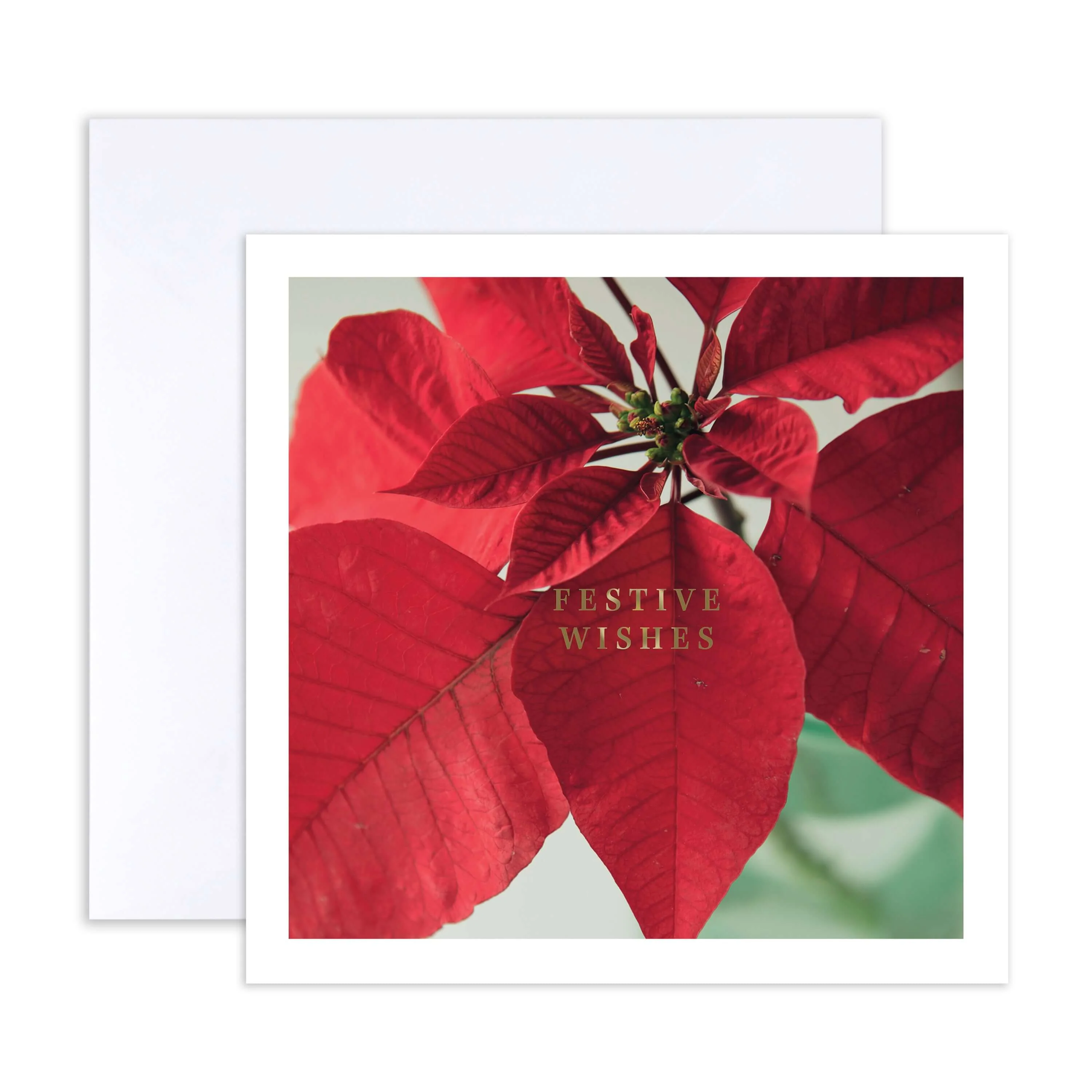 Hallmark Boxed Christmas Cards 10 Pack - Wonderful Time - Image 5