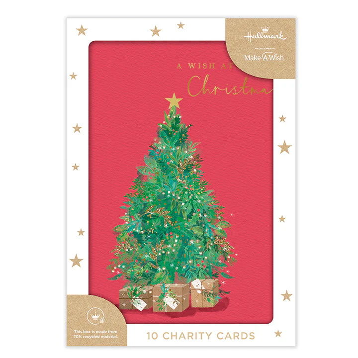 Hallmark Boxed Christmas Cards 10 Pack - Enjoy Every Moment