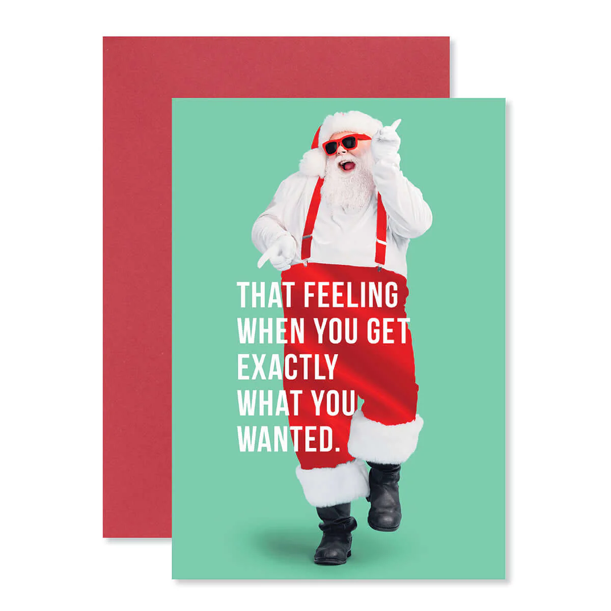 Hallmark Christmas Card Money Wallet & Gift Card Holder - Exactly What You Wanted! - Image 3